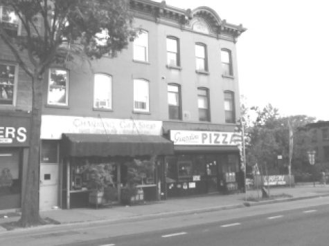 boerum and cobble hill in b and w rwinters (20)