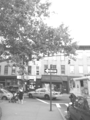 boerum and cobble hill in b and w rwinters (6)