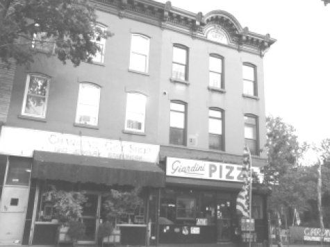 boerum and cobble hill in b and w rwinters (21)
