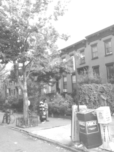 boerum and cobble hill in b and w rwinters (25)