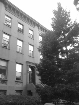 boerum and cobble hill in b and w rwinters (37)