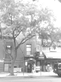 boerum and cobble hill in b and w rwinters (50)