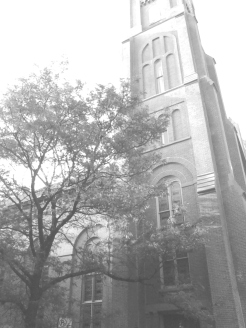 boerum and cobble hill in b and w rwinters (66)